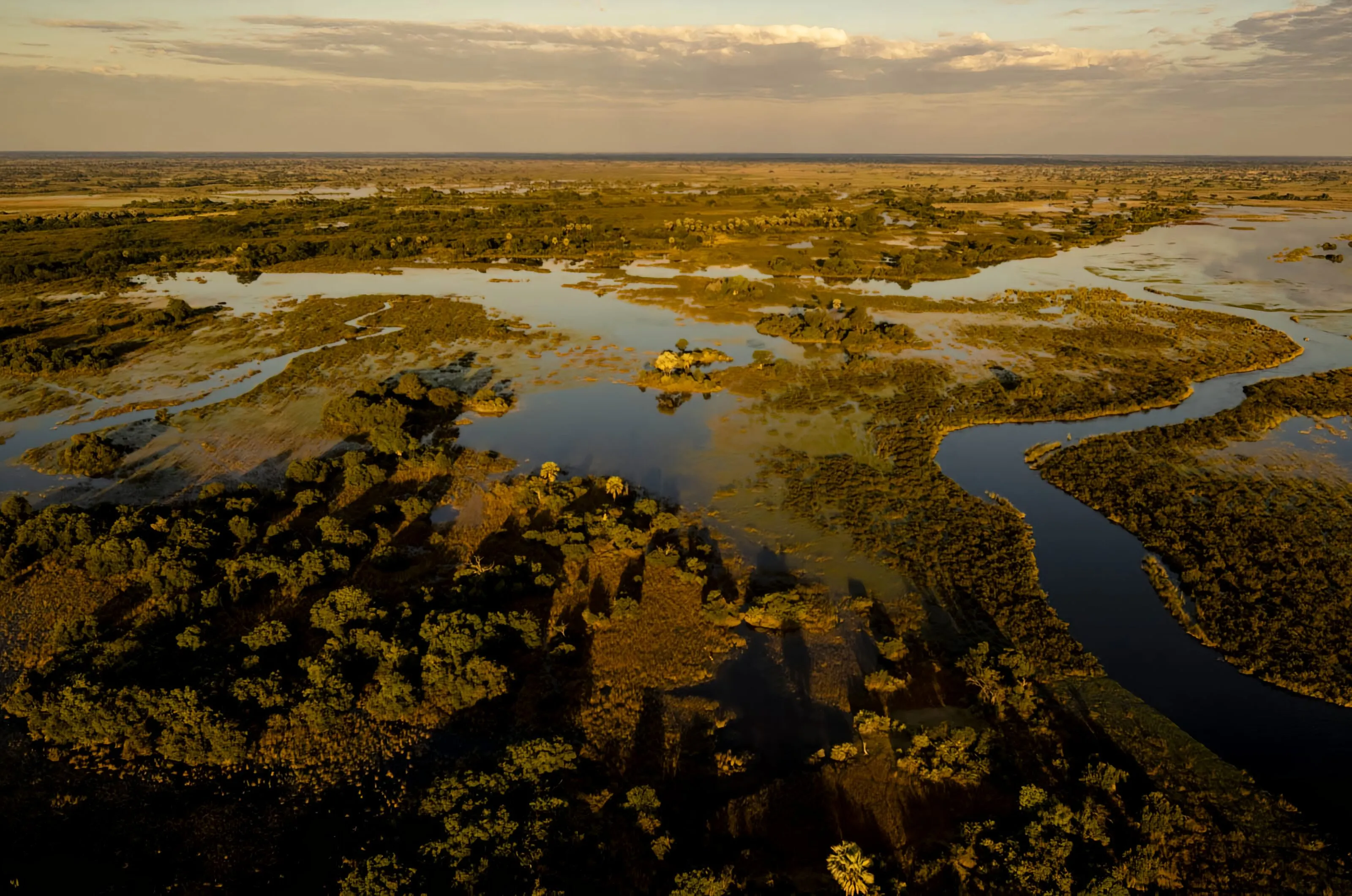 A delta seen from the air at low sun, dark channels winding between green and golden islands to a flat horizon.